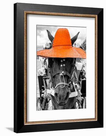 ¡Viva Mexico! B&W Collection - Portrait of Horse with Orange Hat-Philippe Hugonnard-Framed Photographic Print