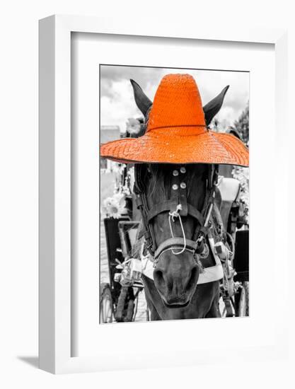 ¡Viva Mexico! B&W Collection - Portrait of Horse with Orange Hat-Philippe Hugonnard-Framed Photographic Print