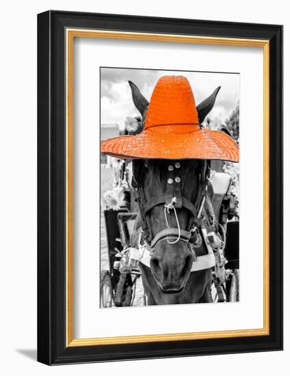 ¡Viva Mexico! B&W Collection - Portrait of Horse with Orange Hat-Philippe Hugonnard-Framed Photographic Print