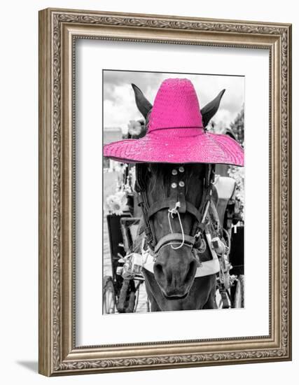 ¡Viva Mexico! B&W Collection - Portrait of Horse with Pink Hat-Philippe Hugonnard-Framed Photographic Print