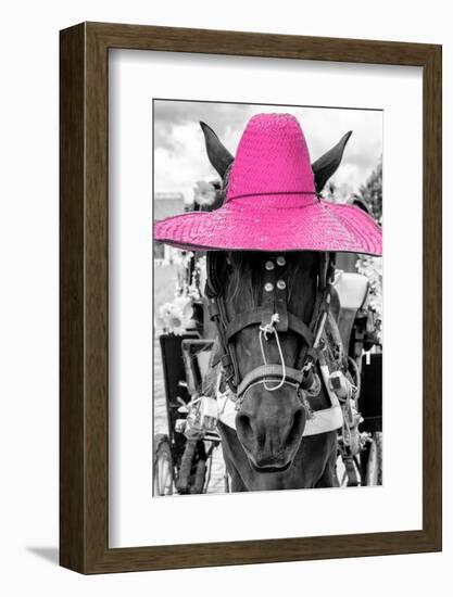 ¡Viva Mexico! B&W Collection - Portrait of Horse with Pink Hat-Philippe Hugonnard-Framed Photographic Print