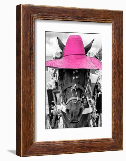 ¡Viva Mexico! B&W Collection - Portrait of Horse with Pink Hat-Philippe Hugonnard-Framed Photographic Print