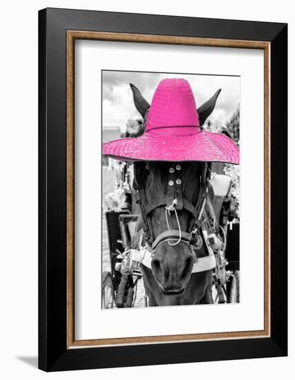 ¡Viva Mexico! B&W Collection - Portrait of Horse with Pink Hat-Philippe Hugonnard-Framed Photographic Print