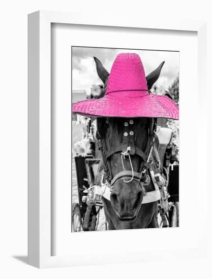 ¡Viva Mexico! B&W Collection - Portrait of Horse with Pink Hat-Philippe Hugonnard-Framed Photographic Print