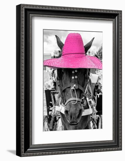 ¡Viva Mexico! B&W Collection - Portrait of Horse with Pink Hat-Philippe Hugonnard-Framed Photographic Print