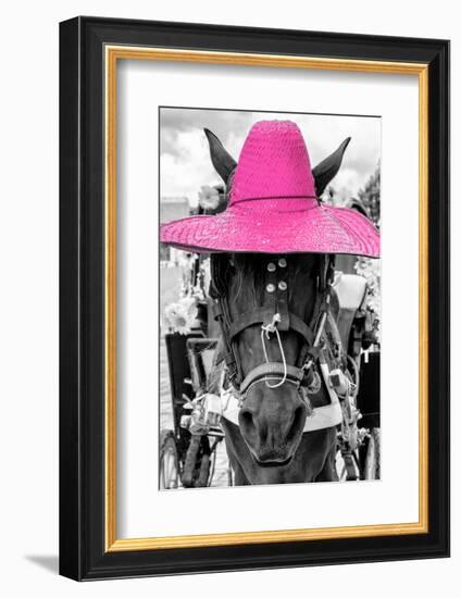 ¡Viva Mexico! B&W Collection - Portrait of Horse with Pink Hat-Philippe Hugonnard-Framed Photographic Print