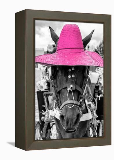 ¡Viva Mexico! B&W Collection - Portrait of Horse with Pink Hat-Philippe Hugonnard-Framed Premier Image Canvas