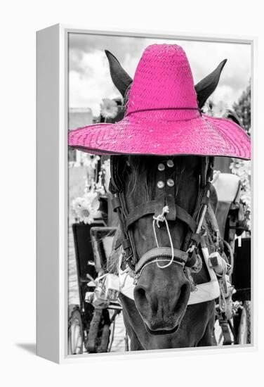 ¡Viva Mexico! B&W Collection - Portrait of Horse with Pink Hat-Philippe Hugonnard-Framed Premier Image Canvas