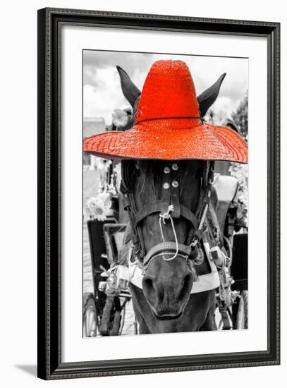 ¡Viva Mexico! B&W Collection - Portrait of Horse with Red Hat-Philippe Hugonnard-Framed Photographic Print