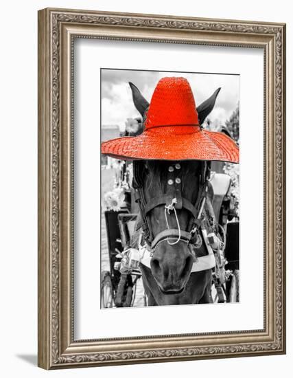 ¡Viva Mexico! B&W Collection - Portrait of Horse with Red Hat-Philippe Hugonnard-Framed Photographic Print