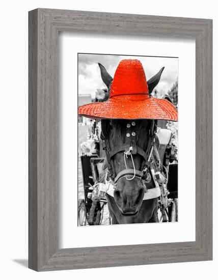 ¡Viva Mexico! B&W Collection - Portrait of Horse with Red Hat-Philippe Hugonnard-Framed Photographic Print