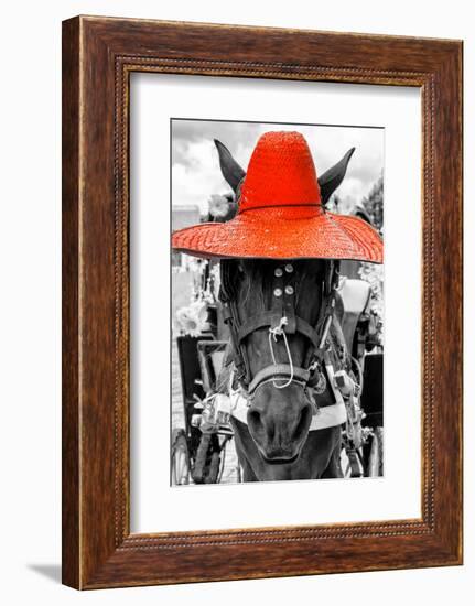 ¡Viva Mexico! B&W Collection - Portrait of Horse with Red Hat-Philippe Hugonnard-Framed Photographic Print