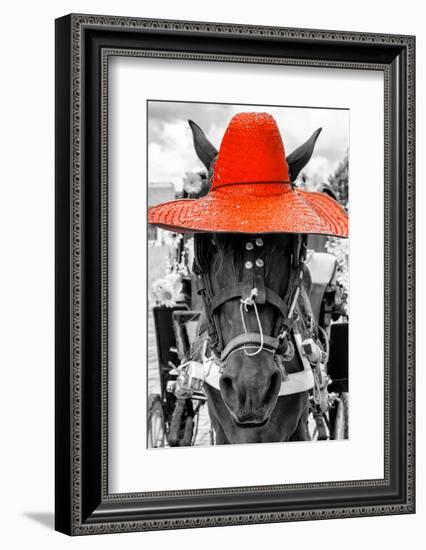 ¡Viva Mexico! B&W Collection - Portrait of Horse with Red Hat-Philippe Hugonnard-Framed Photographic Print