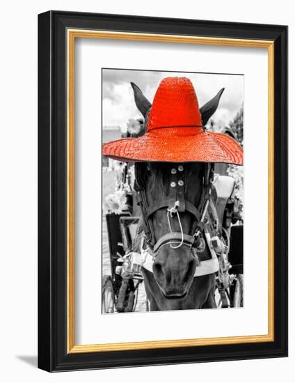 ¡Viva Mexico! B&W Collection - Portrait of Horse with Red Hat-Philippe Hugonnard-Framed Photographic Print