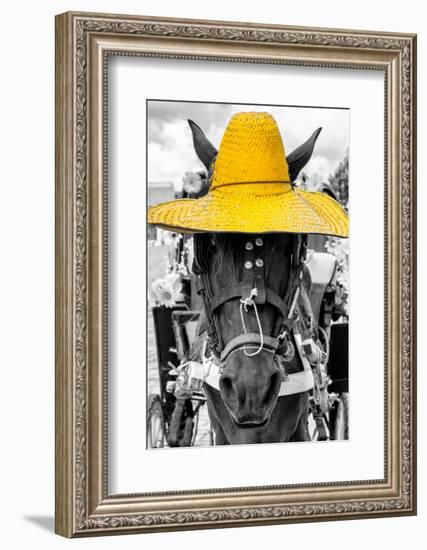 ¡Viva Mexico! B&W Collection - Portrait of Horse with Yellow Hat-Philippe Hugonnard-Framed Photographic Print