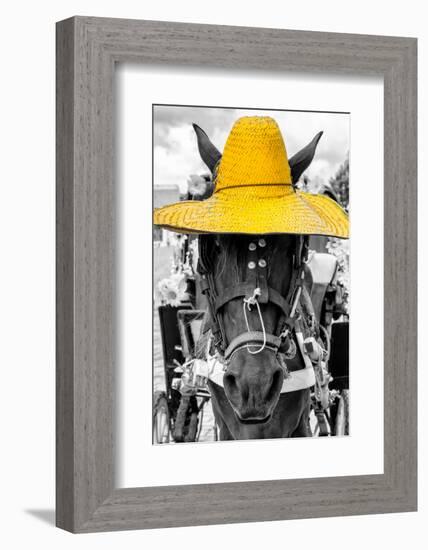 ¡Viva Mexico! B&W Collection - Portrait of Horse with Yellow Hat-Philippe Hugonnard-Framed Photographic Print