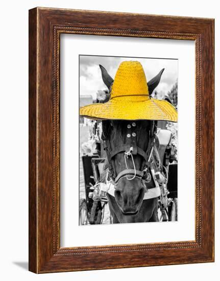 ¡Viva Mexico! B&W Collection - Portrait of Horse with Yellow Hat-Philippe Hugonnard-Framed Photographic Print