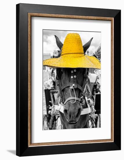 ¡Viva Mexico! B&W Collection - Portrait of Horse with Yellow Hat-Philippe Hugonnard-Framed Photographic Print