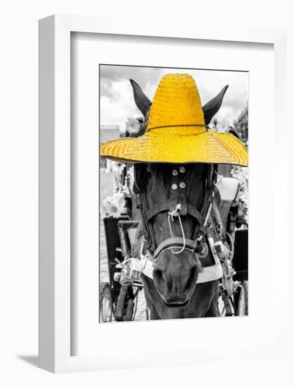 ¡Viva Mexico! B&W Collection - Portrait of Horse with Yellow Hat-Philippe Hugonnard-Framed Photographic Print