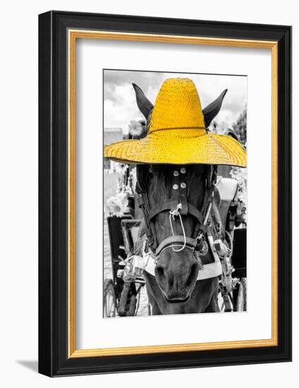¡Viva Mexico! B&W Collection - Portrait of Horse with Yellow Hat-Philippe Hugonnard-Framed Photographic Print