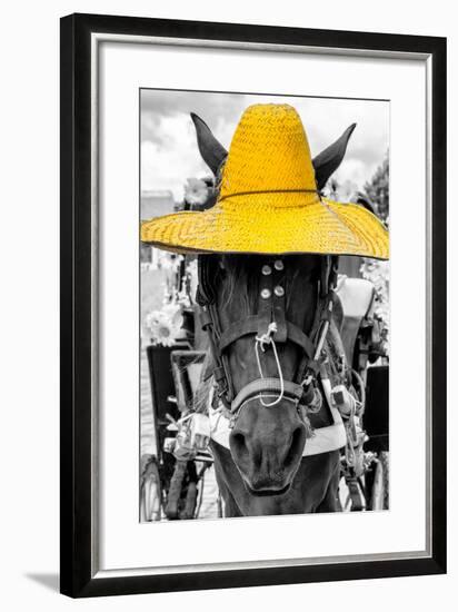 ¡Viva Mexico! B&W Collection - Portrait of Horse with Yellow Hat-Philippe Hugonnard-Framed Photographic Print