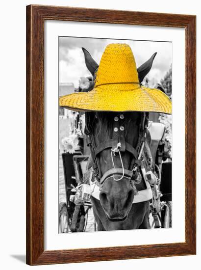 ¡Viva Mexico! B&W Collection - Portrait of Horse with Yellow Hat-Philippe Hugonnard-Framed Photographic Print