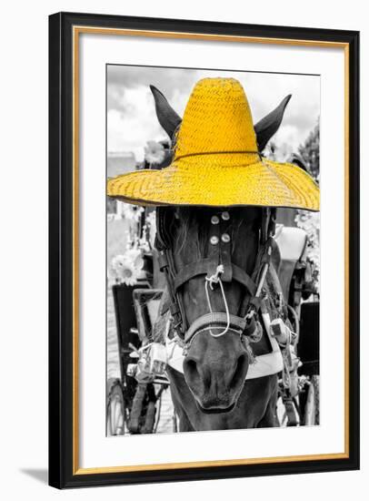 ¡Viva Mexico! B&W Collection - Portrait of Horse with Yellow Hat-Philippe Hugonnard-Framed Photographic Print