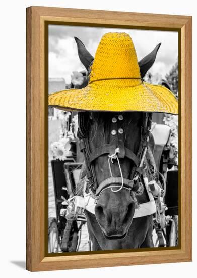 ¡Viva Mexico! B&W Collection - Portrait of Horse with Yellow Hat-Philippe Hugonnard-Framed Premier Image Canvas