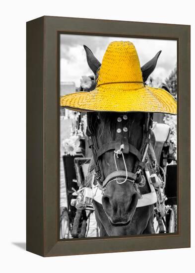 ¡Viva Mexico! B&W Collection - Portrait of Horse with Yellow Hat-Philippe Hugonnard-Framed Premier Image Canvas