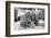 ¡Viva Mexico! B&W Collection - Prickly Pear Cactus II-Philippe Hugonnard-Framed Photographic Print