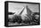 ¡Viva Mexico! B&W Collection - Pyramid of Chichen Itza II-Philippe Hugonnard-Framed Premier Image Canvas