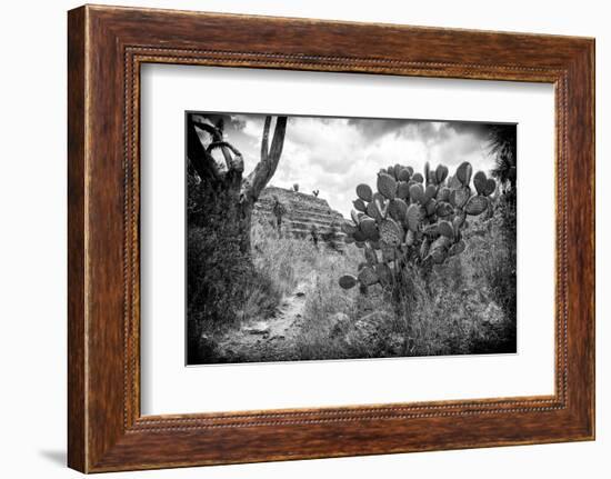 ¡Viva Mexico! B&W Collection - Pyramid of Puebla II (Cantona Ruins)-Philippe Hugonnard-Framed Photographic Print