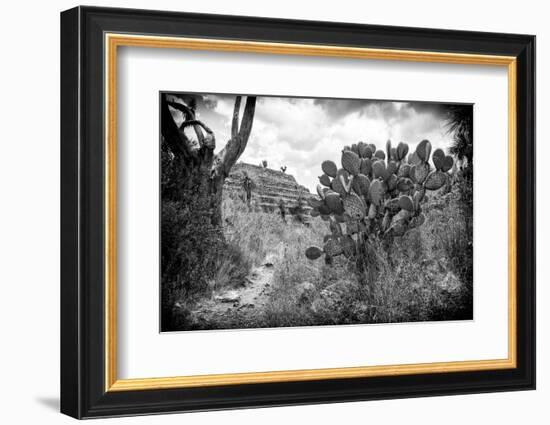 ¡Viva Mexico! B&W Collection - Pyramid of Puebla II (Cantona Ruins)-Philippe Hugonnard-Framed Photographic Print