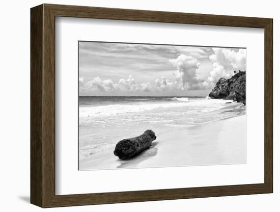 ?Viva Mexico! B&W Collection - Tree Trunk on a Caribbean Beach II-Philippe Hugonnard-Framed Photographic Print