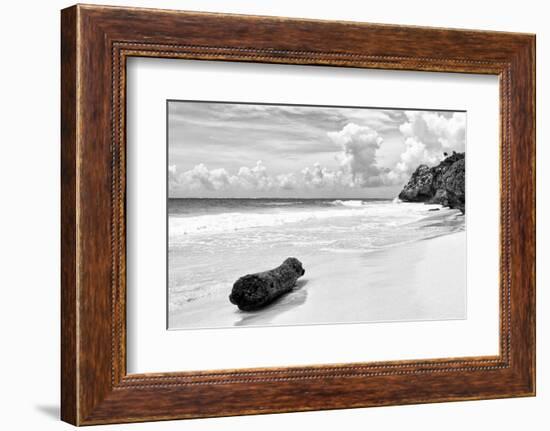 ?Viva Mexico! B&W Collection - Tree Trunk on a Caribbean Beach II-Philippe Hugonnard-Framed Photographic Print