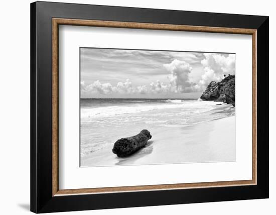 ?Viva Mexico! B&W Collection - Tree Trunk on a Caribbean Beach II-Philippe Hugonnard-Framed Photographic Print