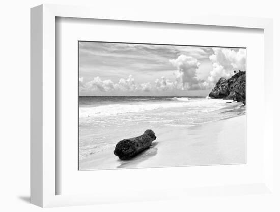 ?Viva Mexico! B&W Collection - Tree Trunk on a Caribbean Beach II-Philippe Hugonnard-Framed Photographic Print