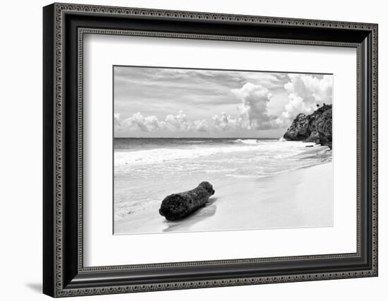 ?Viva Mexico! B&W Collection - Tree Trunk on a Caribbean Beach II-Philippe Hugonnard-Framed Photographic Print