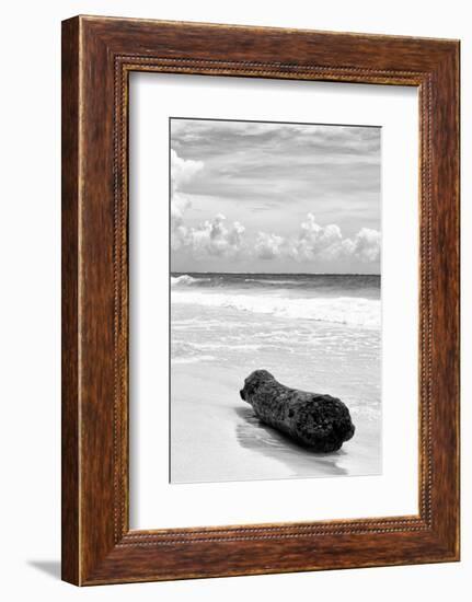 ?Viva Mexico! B&W Collection - Tree Trunk on a Caribbean Beach III-Philippe Hugonnard-Framed Photographic Print