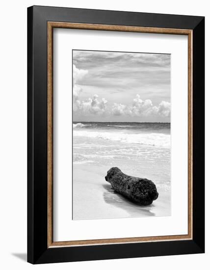 ?Viva Mexico! B&W Collection - Tree Trunk on a Caribbean Beach III-Philippe Hugonnard-Framed Photographic Print