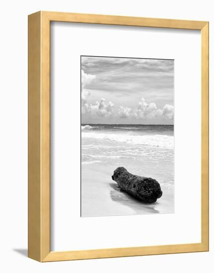 ?Viva Mexico! B&W Collection - Tree Trunk on a Caribbean Beach III-Philippe Hugonnard-Framed Photographic Print