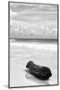 ?Viva Mexico! B&W Collection - Tree Trunk on a Caribbean Beach III-Philippe Hugonnard-Mounted Photographic Print