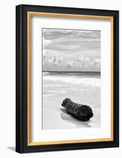 ?Viva Mexico! B&W Collection - Tree Trunk on a Caribbean Beach III-Philippe Hugonnard-Framed Photographic Print