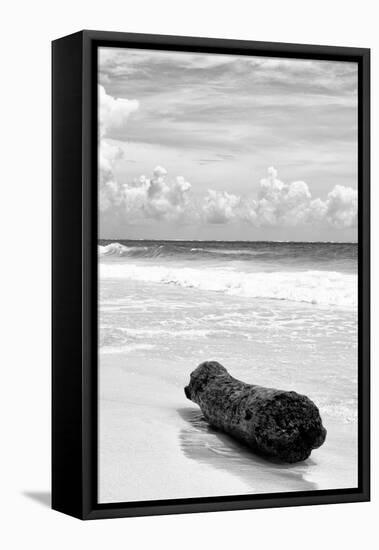 ?Viva Mexico! B&W Collection - Tree Trunk on a Caribbean Beach III-Philippe Hugonnard-Framed Premier Image Canvas