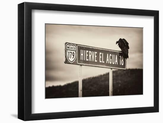 ¡Viva Mexico! B&W Collection - Vulture-Philippe Hugonnard-Framed Photographic Print