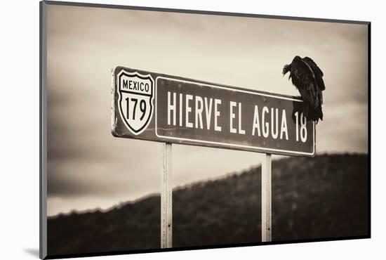 ¡Viva Mexico! B&W Collection - Vulture-Philippe Hugonnard-Mounted Photographic Print