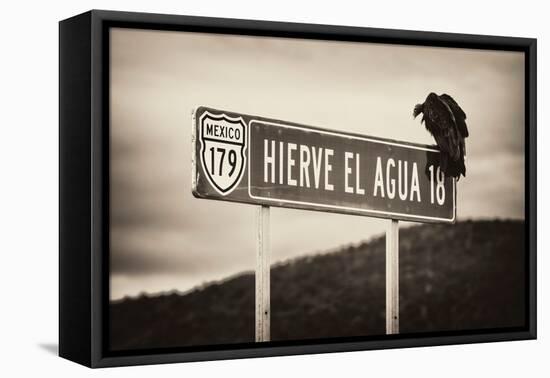 ¡Viva Mexico! B&W Collection - Vulture-Philippe Hugonnard-Framed Premier Image Canvas