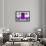 ¡Viva Mexico! Collection - "ALASKA" Purple Bar-Philippe Hugonnard-Framed Premium Photographic Print displayed on a wall