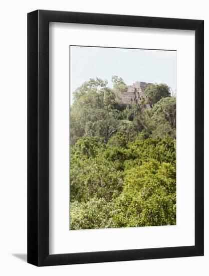 ¡Viva Mexico! Collection - Ancient Maya City within the jungle IV - Calakmul-Philippe Hugonnard-Framed Photographic Print