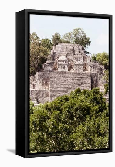 ¡Viva Mexico! Collection - Ancient Maya City within the jungle of Calakmul IV-Philippe Hugonnard-Framed Premier Image Canvas